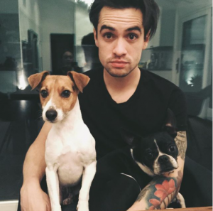 brendon urie with his pet dog